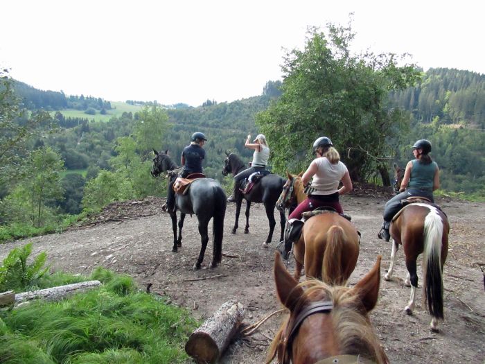 Schwarzwald- und Schluchseetrail