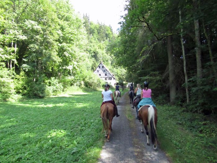 Schwarzwald- und Schluchseetrail