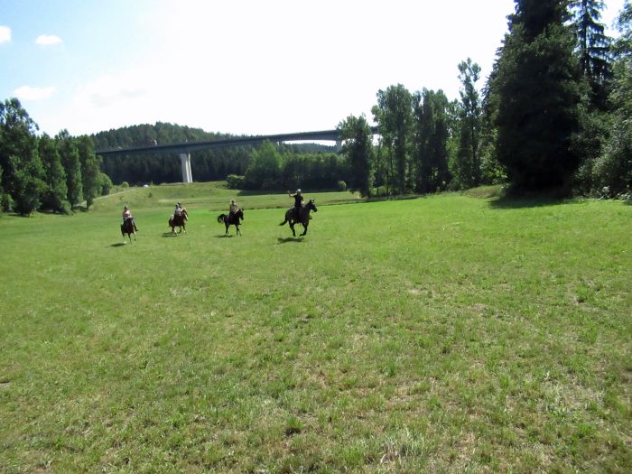 Schwarzwald- und Schluchseetrail