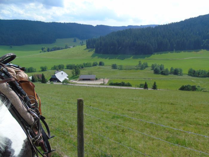 Familiärer Reiterhof im Südschwarzwald