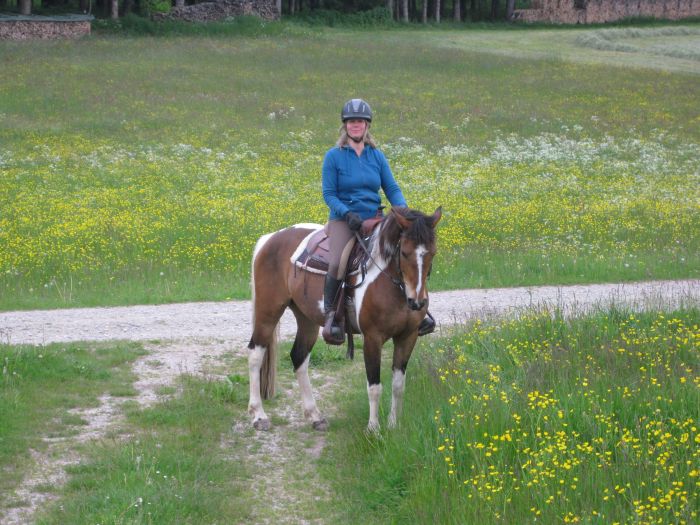 Familiärer Reiterhof im Südschwarzwald