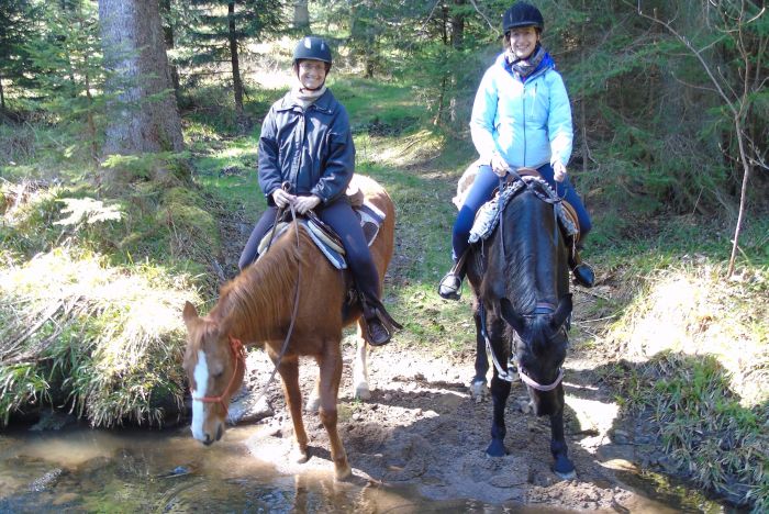 Familiärer Reiterhof im Südschwarzwald