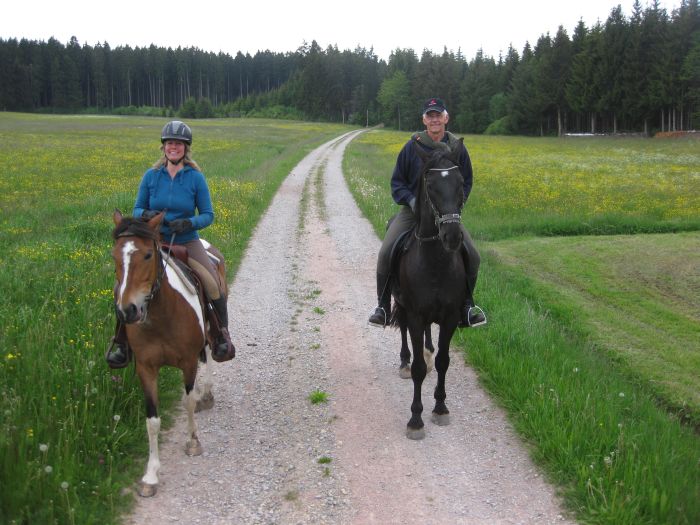 Familiärer Reiterhof im Südschwarzwald