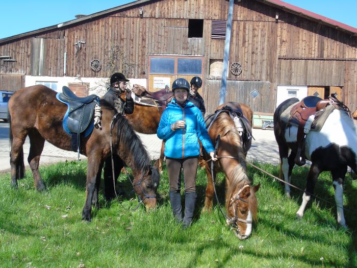 Familiärer Reiterhof im Südschwarzwald