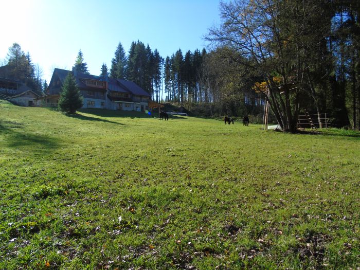 Familiärer Reiterhof im Südschwarzwald