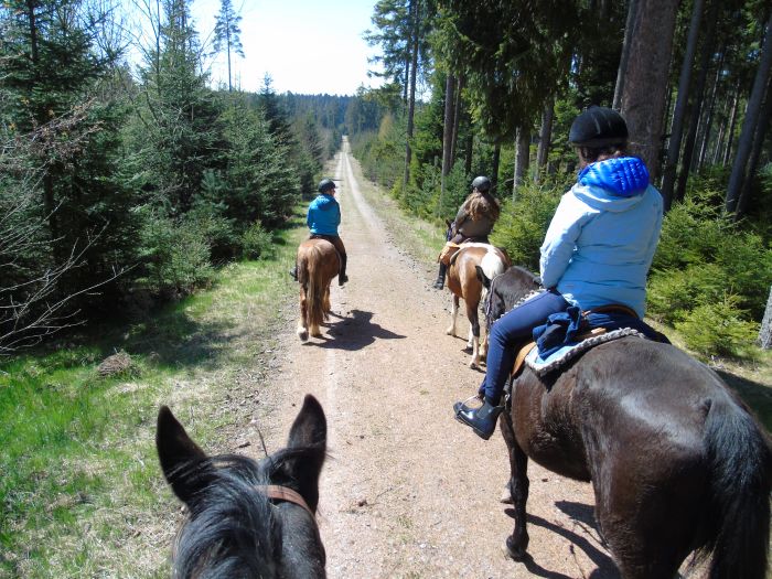 Familiärer Reiterhof im Südschwarzwald