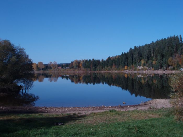 Familiärer Reiterhof im Südschwarzwald