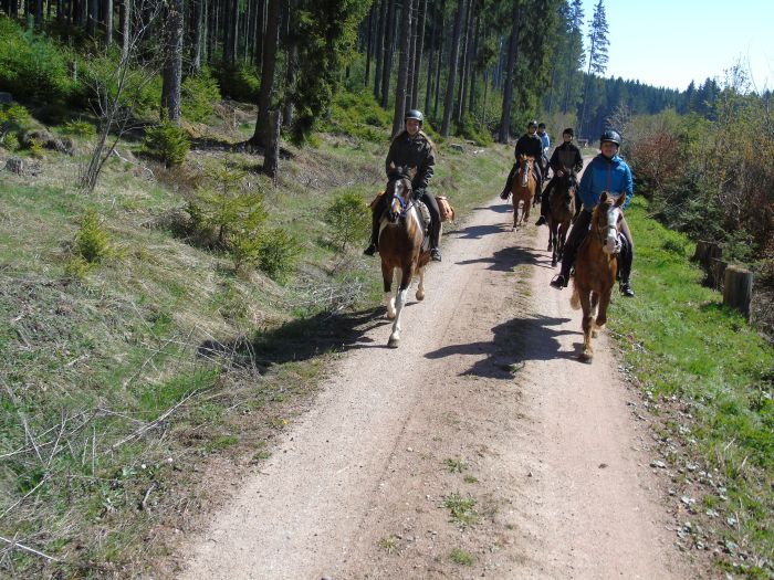 Familiärer Reiterhof im Südschwarzwald