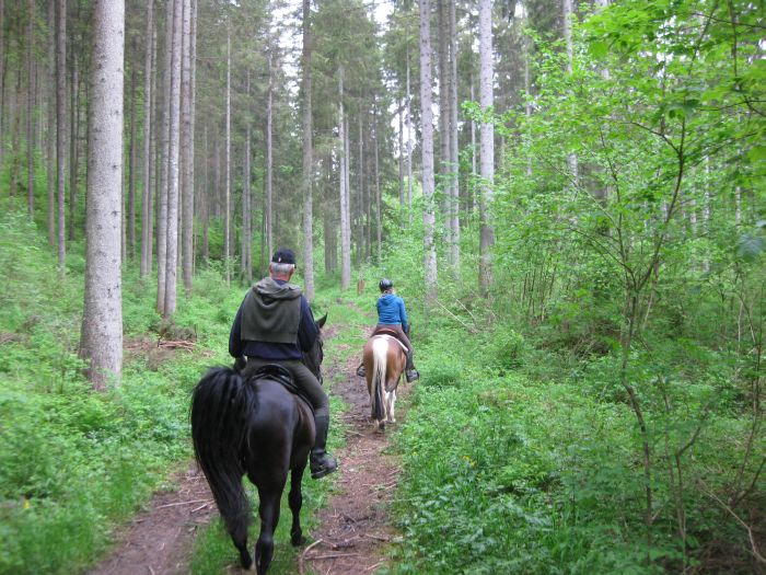 Familiärer Reiterhof im Südschwarzwald