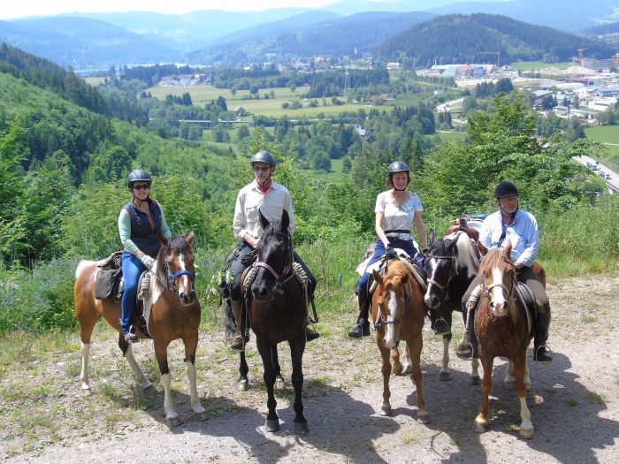 Familiärer Reiterhof im Südschwarzwald