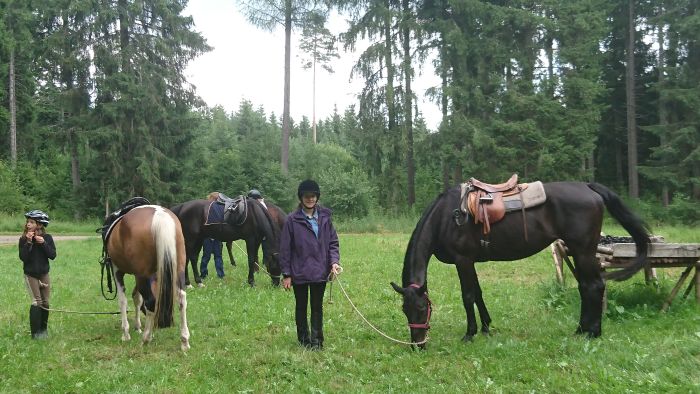 Familiärer Reiterhof im Südschwarzwald