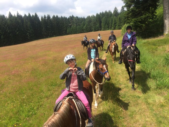 Familiärer Reiterhof im Südschwarzwald