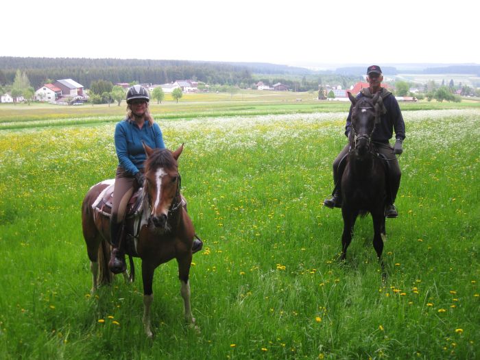 Familiärer Reiterhof im Südschwarzwald