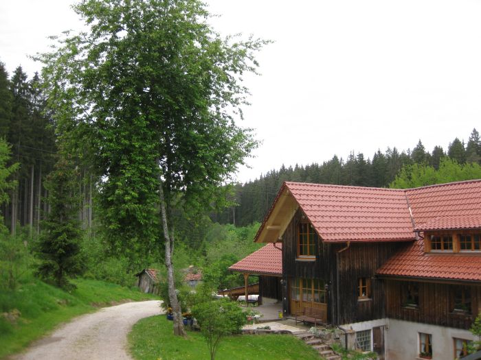 Familiärer Reiterhof im Südschwarzwald