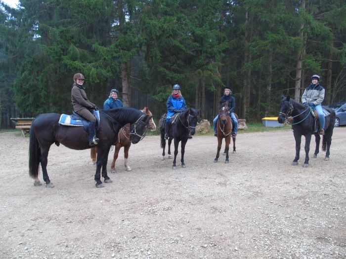 Familiärer Reiterhof im Südschwarzwald