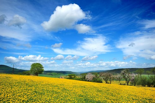 Westernreiturlaub in der Rhön