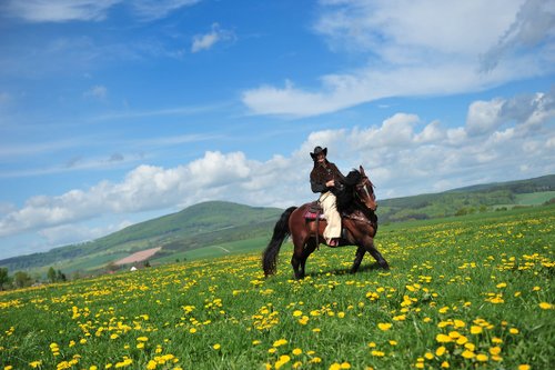 Westernreiturlaub in der Rhön