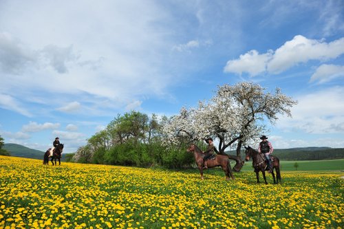 Westernreiturlaub in der Rhön