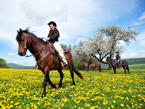 Westernreiturlaub in der Rhön