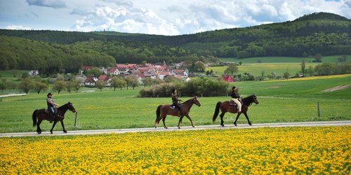 Westernreiturlaub in der Rhön