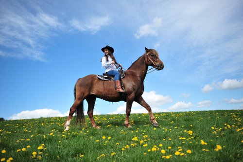 Westernreiturlaub in der Rhön