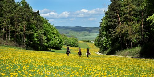 Westernreiturlaub in der Rhön