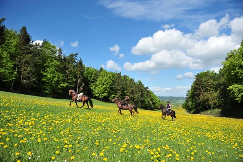 Westernreiturlaub in der Rhön