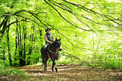 Westernreiturlaub in der Rhön