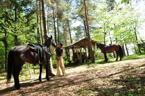 Westernreiturlaub in der Rhön