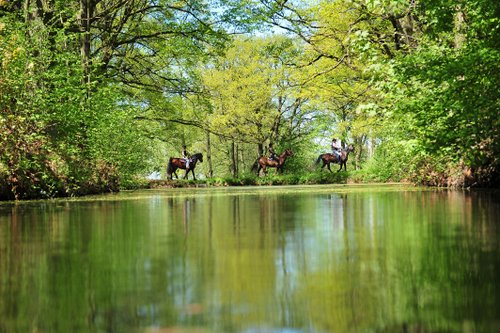 Westernreiturlaub in der Rhön