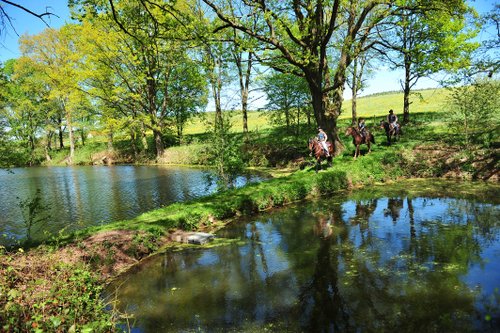 Westernreiturlaub in der Rhön