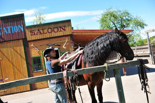 Westernreiturlaub in der Rhön