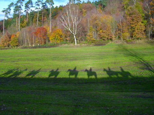 Westernreiturlaub in der Rhön