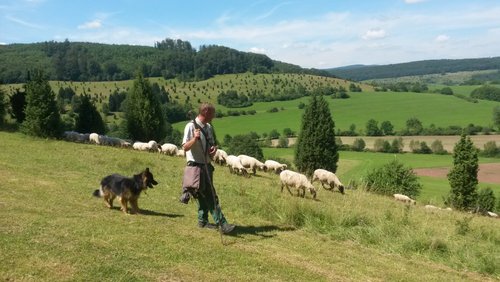 Westernreiturlaub in der Rhön
