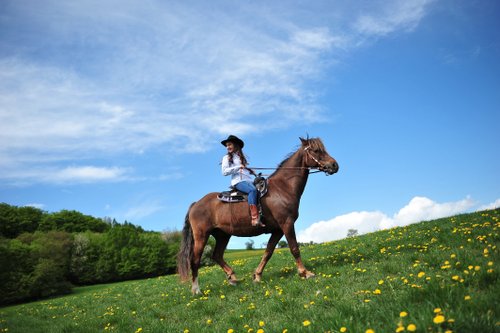 Westernreiturlaub in der Rhön