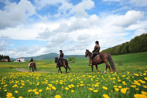 Westernreiturlaub in der Rhön