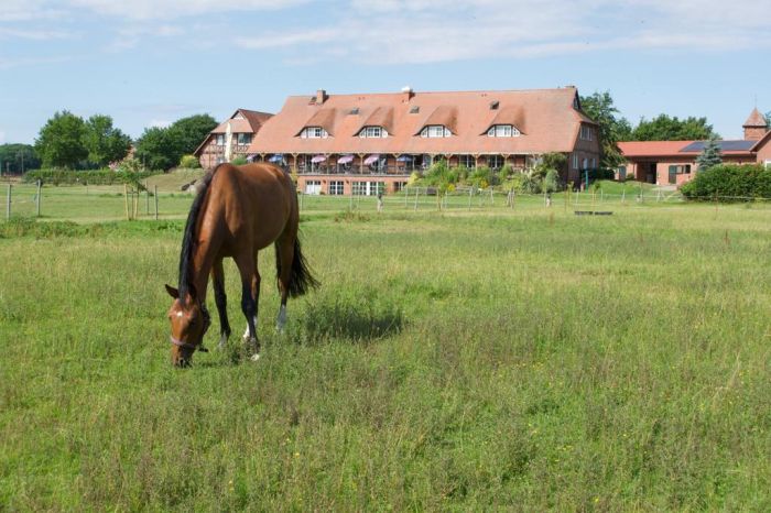 Reithotel am See