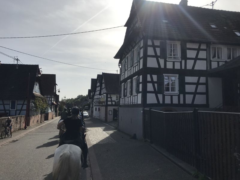 Sternritte und Wanderritt in den Nordvogesen