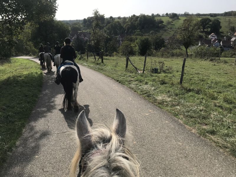 Sternritte und Wanderritte in den Vogesen