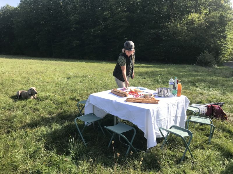 Sternritte und Wanderritt in den Nordvogesen