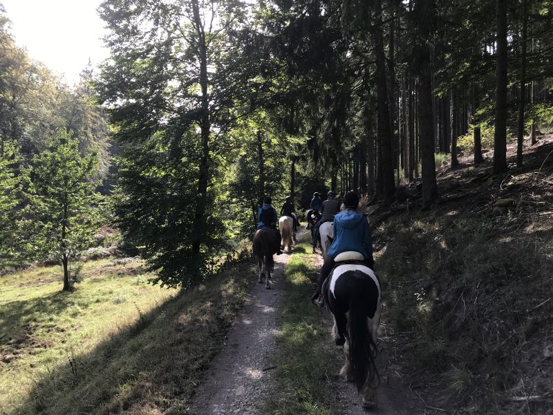 Sternritte und Wanderritt in den Nordvogesen