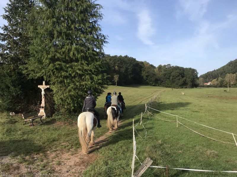 Sternritte und Wanderritt in den Nordvogesen