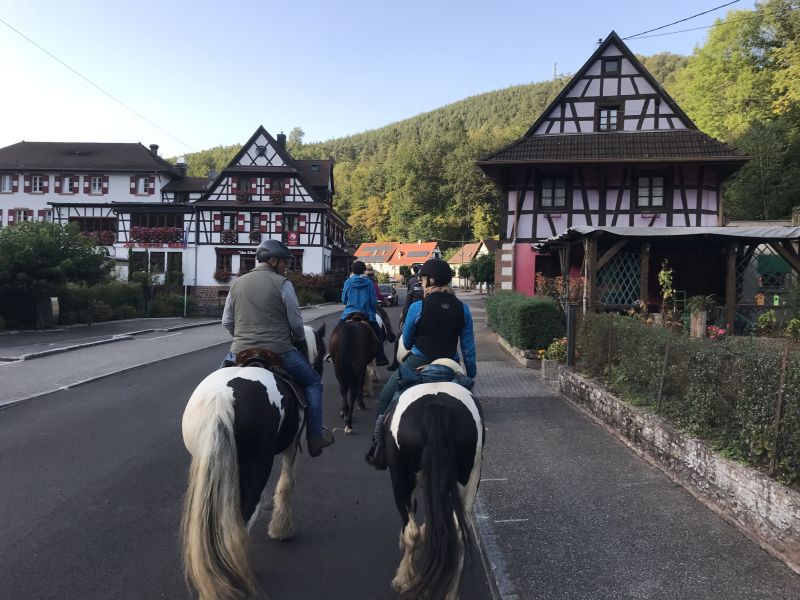 Sternritte und Wanderritte in den Vogesen