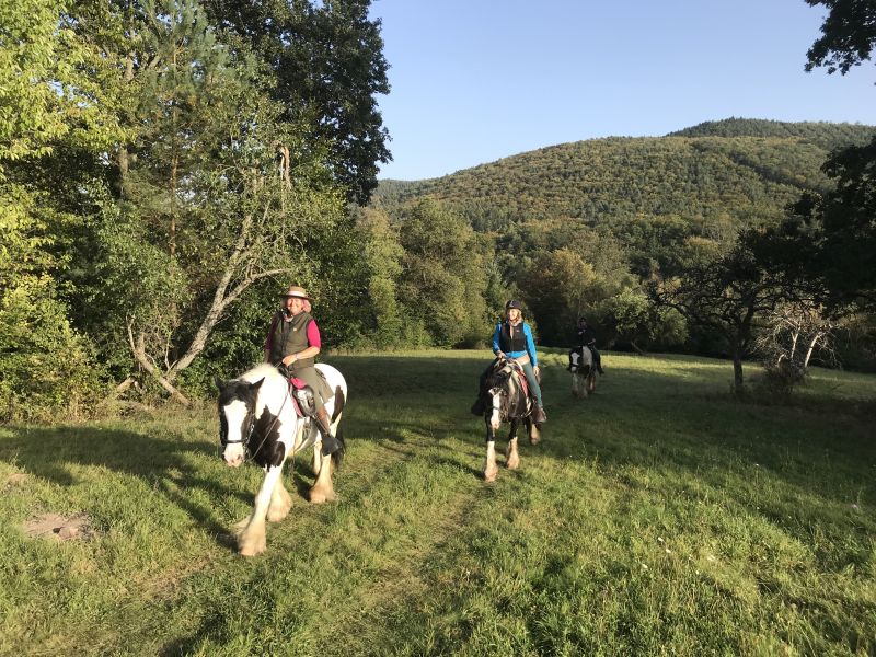 Sternritte und Wanderritte in den Vogesen