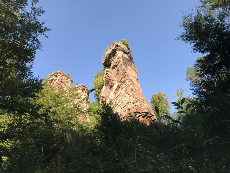 Sternritte und Wanderritte in den Vogesen