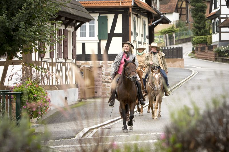 Sternritte und Wanderritte in den Vogesen