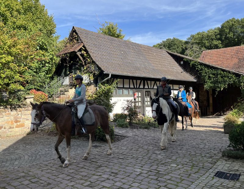 Sternritte und Wanderritte in den Vogesen