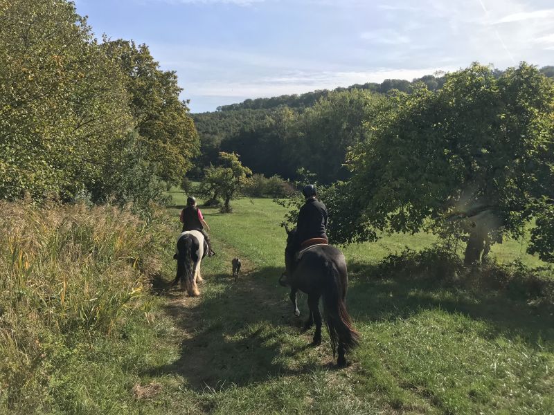 Sternritte und Wanderritte in den Vogesen