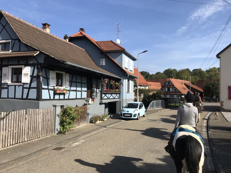 Sternritte und Wanderritte in den Vogesen