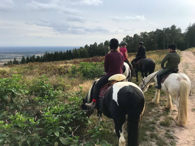 Sternritte und Wanderritte in den Vogesen